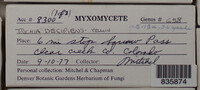 Image Associated With the Occurence